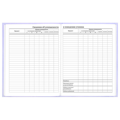 Дневник 5-11 класс 48 л., твердый, BRAUBERG, матовая ламинация, с подсказом, "Классика", 107610 - фото 15