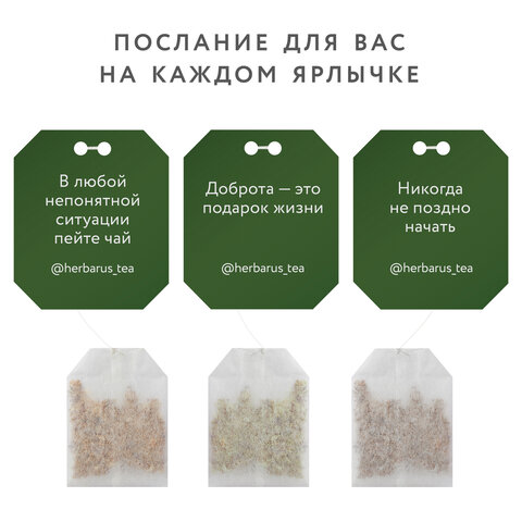 Чай HERBARUS "Grand Secret" ассорти 12 вкусов, НАБОР 60 пакетиков - фото 6