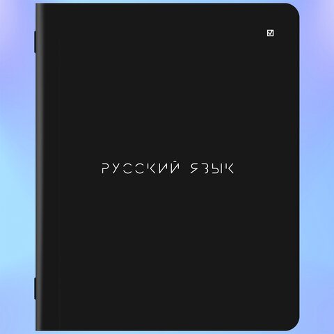 Тетради предметные, КОМПЛЕКТ 12 ПРЕДМЕТОВ, 48 л., матовая ламинация, BRAUBERG, "MINIMAL", 404831 - фото 13