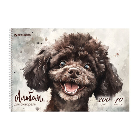 Альбом для акварели А4 40 л., бумага 200 г/м2, гребень, твердая подложка, BRAUBERG, "Пудель", 116885 - фото 1
