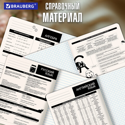 Тетради предметные, КОМПЛЕКТ 12 ПРЕДМЕТОВ 48 л., пластиковая обложка, BRAUBERG "КОТ-НЕПОСЕДА", 405542 - фото 23