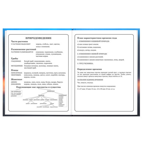 Дневник 1-4 класс 48 л., твердый, BRAUBERG, выборочный лак, с подсказом, "Авто мечты", 107593 - фото 16