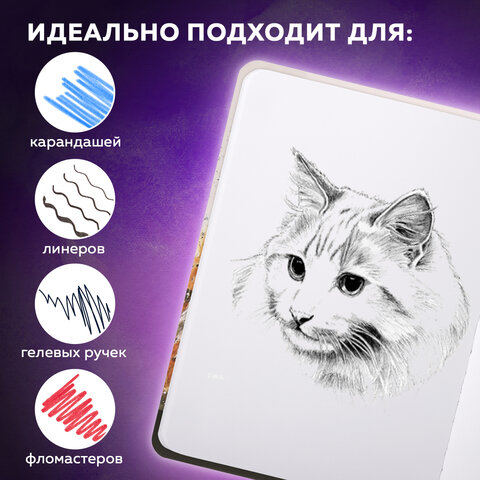 Скетчбук, белая бумага 80 г/м2, 145х203 мм, 80 л., резинка, твердый, BRAUBERG ART DEBUT "Тигр", 114580 - фото 12