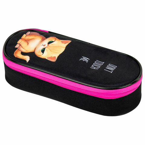 Пенал-футляр BRAUBERG, 1 отделение, органайзер, полиэстер, 22x9х5 см, "Angry kitty", 273566 - фото 1