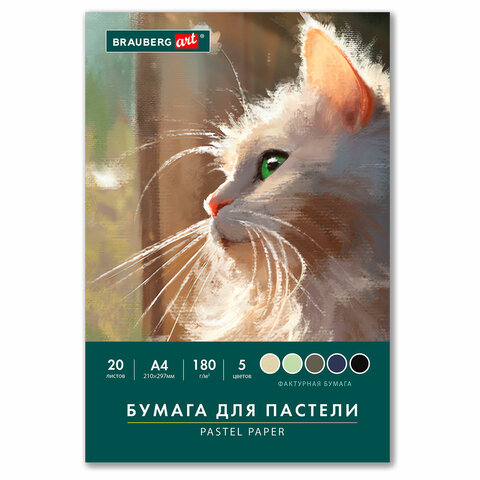 Бумага для пастели А4 в папке, 20 листов, 5 цветов, 180 г/м2, BRAUBERG ART CLASSIC, 116345 - фото 1