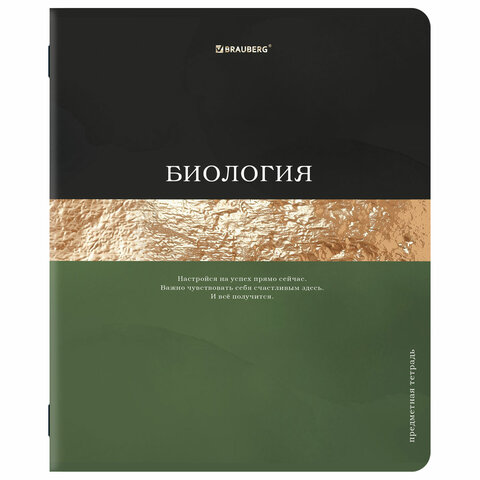 Тетради предметные, КОМПЛЕКТ 12 ПРЕДМЕТОВ, 48 л., матовая ламинация, фольга, BRAUBERG "GOLDY", 405178 - фото 7