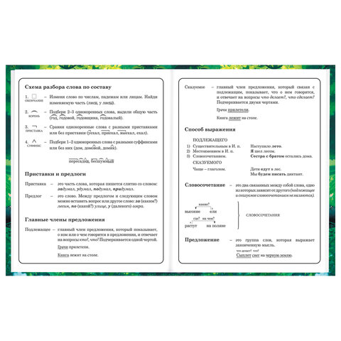 Дневник 1-4 класс 48 л., твердый, BRAUBERG, глянцевая ламинация, с подсказом, "Панда", 107158. - фото 10