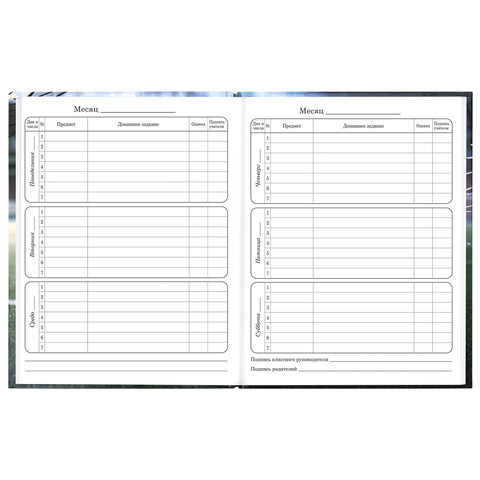 Дневник 1-4 класс 48 л., твердый, ЮНЛАНДИЯ, глянцевая ламинация, с подсказом, "Футбол", 107583 - фото 9