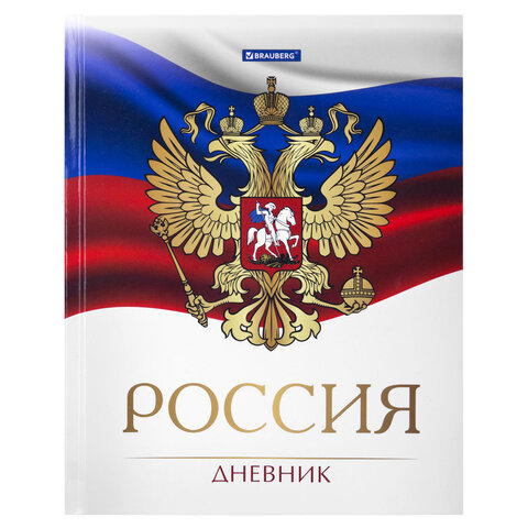 Дневник 5-11 класс 48 л., твердый, BRAUBERG, глянцевая ламинация, с подсказом, "Символика 2", 106067 - фото 1