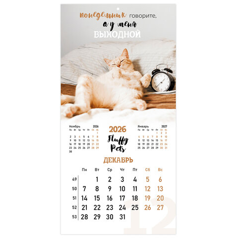 Календарь настенный перекидной 2026 г., BRAUBERG, 12 листов, 28,5х28,5 см, "Милые котики", 116929 - фото 15