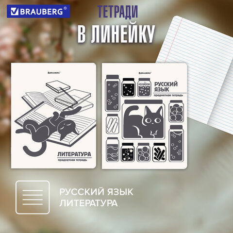 Тетради предметные, КОМПЛЕКТ 12 ПРЕДМЕТОВ 48 л., пластиковая обложка, BRAUBERG "КОТ-НЕПОСЕДА", 405542 - фото 21