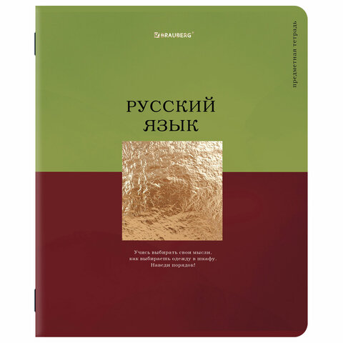 Тетради предметные, КОМПЛЕКТ 12 ПРЕДМЕТОВ, 48 л., матовая ламинация, фольга, BRAUBERG "GOLDY", 405178 - фото 14
