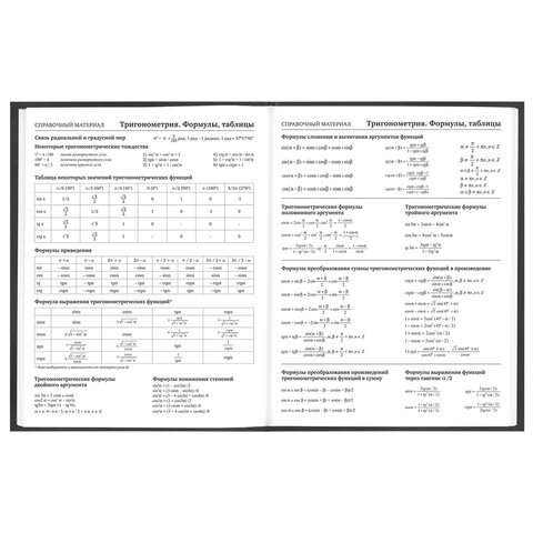Дневник 5-11 класс 48 л., твердый, FUNSTER (ФАНСТЕР), выборочный лак, с подсказом, "Гусыня-балерина", 107615 - фото 11