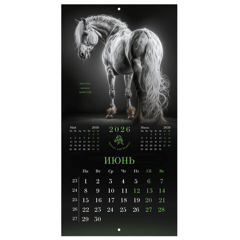 Календарь настенный перекидной 2026 г., BRAUBERG, 12 листов, 28,5х28,5 см, "Символ года", 116928 - фото 9
