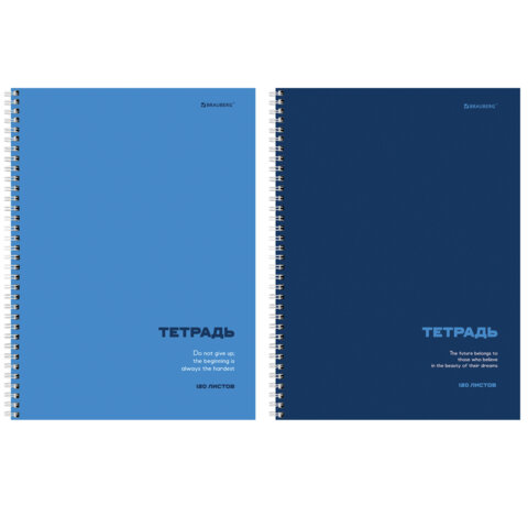 Тетрадь А4, 120 л., BRAUBERG, гребень, клетка, матовая ламинация, "Классика Blue", 405643 - фото 1