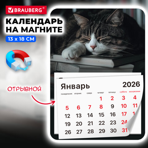 Календарь отрывной на магните на 2026 г., BRAUBERG, 130х180 мм, склейка, "Спящий кот", 117292 - фото 3