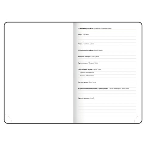 Ежедневник датированный 2026 БОЛЬШОЙ ФОРМАТ 210х297 мм, А4, BRAUBERG "Favorite", под кожу, бордо, 117240 - фото 6