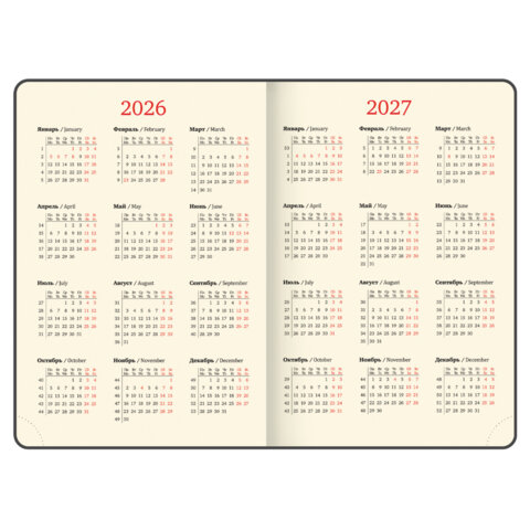 Ежедневник датированный 2026, БОЛЬШОЙ ФОРМАТ 210х297 мм, А4, BRAUBERG "Comodo", под кожу, синий, 117243 - фото 7