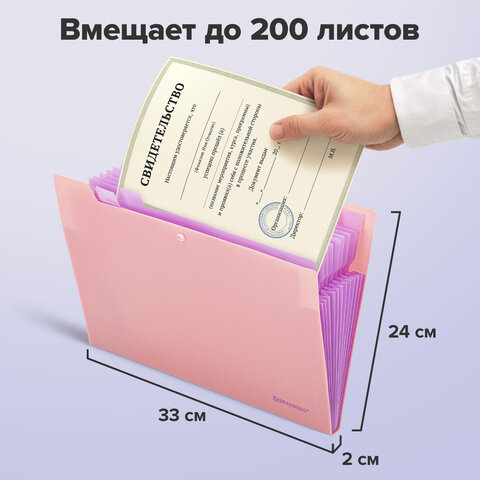 Папка-органайзер на кнопке 12 отделений, BRAUBERG "Extra", А4, персиковая с лавандовым, 271931 - фото 10