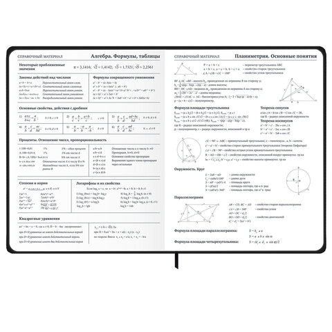 Дневник 1-11 класс 48 л., твердый, BRAUBERG, матовая ламинация, резинка, закладка-ляссе, с подсказом, "Элементы", 107242 - фото 15