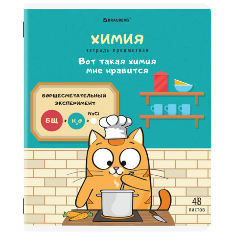 Тетради предметные, КОМПЛЕКТ 12 ПРЕДМЕТОВ, 48 л., TWIN-лак, BRAUBERG, "КОТ-ЭНТУЗИАСТ", 404609 - фото 4
