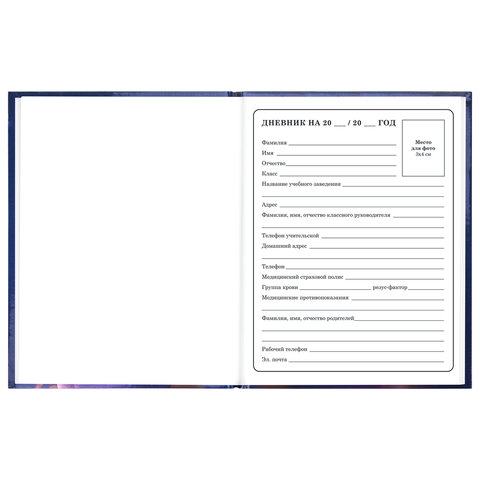 Дневник 1-4 класс 48 л., твердый, ЮНЛАНДИЯ, глянцевая ламинация, с подсказом, "Принцесса", 107582 - фото 5