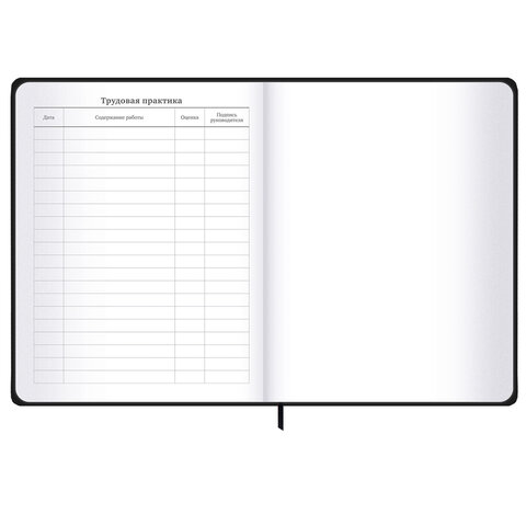 Дневник 1-11 класс 48 л., твердый, BRAUBERG, матовая ламинация, резинка, закладка-ляссе, с подсказом, "Элементы", 107242 - фото 19