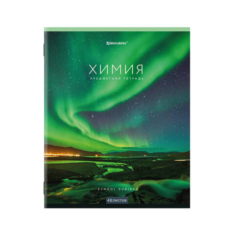 Тетради предметные, КОМПЛЕКТ 12 ПРЕДМЕТОВ, 48 л., обложка картон, BRAUBERG, "КЛАССИКА NEW", 404322 - фото 4
