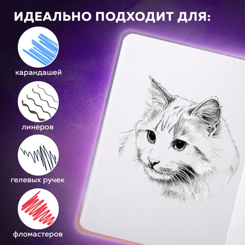Скетчбук, белая бумага 80 г/м2, 145х203 мм, 80 л., резинка, твердый, BRAUBERG ART DEBUT "Корги", 114579 - фото 11