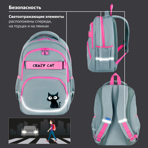 Рюкзак BRAUBERG MOTION, 2 отделения, 3 кармана, "Crazy cat", 41х28х17 см, 273115 - фото 15