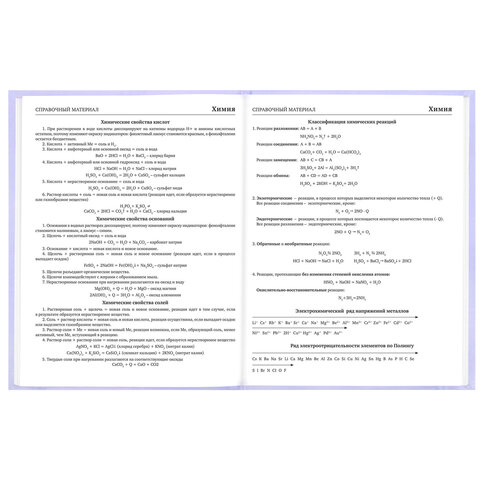 Дневник 5-11 класс 48 л., твердый, BRAUBERG, матовая ламинация, с подсказом, "Классика", 107610 - фото 12