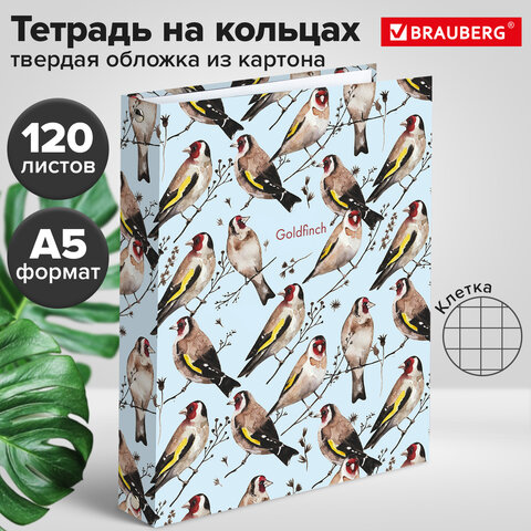 Тетрадь на кольцах А5 (175х215 мм), 120 листов, твердый картон, клетка, BRAUBERG, Щеглы, 404079 - фото 8