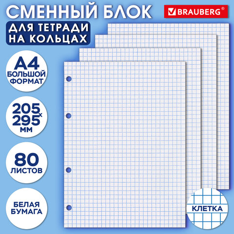 Сменный блок для тетради на кольцах БОЛЬШОЙ А4, 80 л., BRAUBERG, "Белый", 403262 - фото 9
