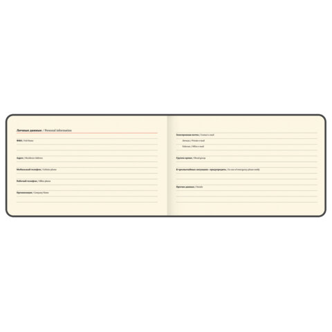 Еженедельник датированный 2026 МАЛЫЙ ФОРМАТ 105х160 мм, А6, BRAUBERG "Imprint", тиснение, черный, 117209 - фото 4