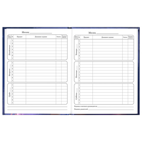 Дневник 1-4 класс 48 л., твердый, ЮНЛАНДИЯ, глянцевая ламинация, с подсказом, "Принцесса", 107582 - фото 9