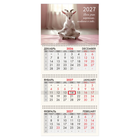 Календарь квартальный на 2027 г., 3 блока, 3 гребня, бегунок, мелованная бумага, BRAUBERG FUN, "Goat yoga", 118440 - фото 1