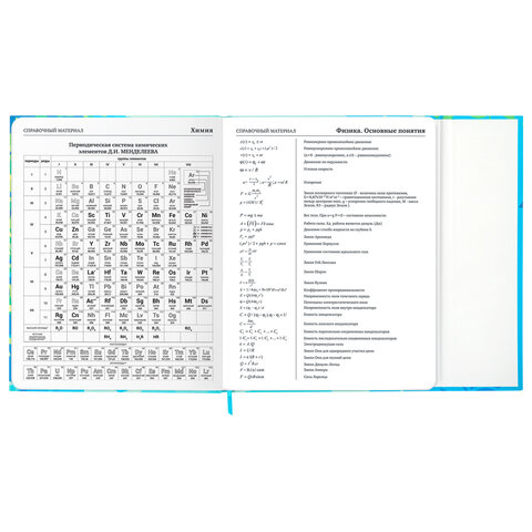 Дневник 1-11 класс 48 л., твердый, BRAUBERG, матовая ламинация, магнитный клапан, закладка-ляссе, с подсказом, "Котик", 107244 - фото 18