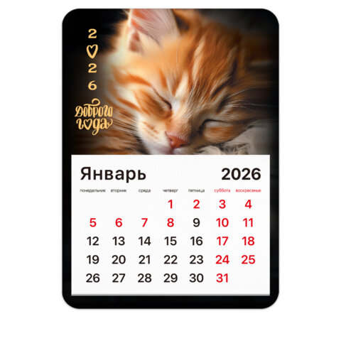 Календарь отрывной на магните на 2026 г., BRAUBERG, 130х180 мм, склейка, "Котик", 117289 - фото 1
