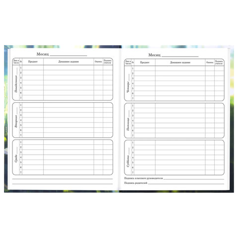 Дневник 1-4 класс 48 л., твердый, BRAUBERG, выборочный лак, с подсказом, "Оленёнок", 107595 - фото 9