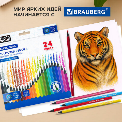 Карандаши цветные BRAUBERG, 24 цвета, шестигранные, грифель 3,3 мм, черное дерево, 181858 - фото 12