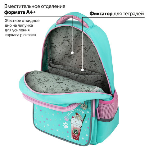 Рюкзак ЮНЛАНДИЯ COMPLETE с пеналом в комплекте, эрго-спинка, "Yummy cat", 42х29х14 см, 270663 - фото 17