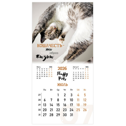 Календарь настенный перекидной 2026 г., BRAUBERG, 12 листов, 28,5х28,5 см, "Милые котики", 116929 - фото 10