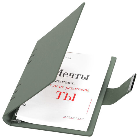 Ежедневник на кольцах в наборе с ручкой А5, 165x229 мм, BRAUBERG "Lux", под кожу, 100 листов, зеленый, 116858 - фото 5