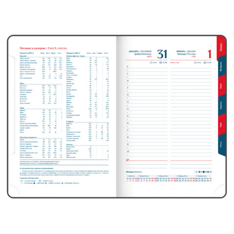 Ежедневник датированный 2026 А5 148х218 мм, GALANT "Ritter", под кожу, бордовый, 117493 - фото 10