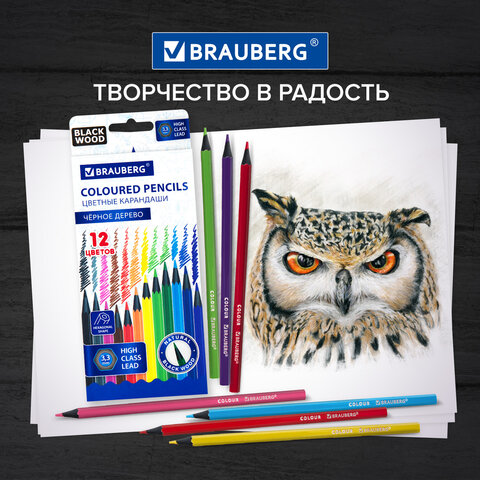 Карандаши цветные BRAUBERG, 12 цветов, шестигранные, грифель 3,3 мм, черное дерево, 181856 - фото 10
