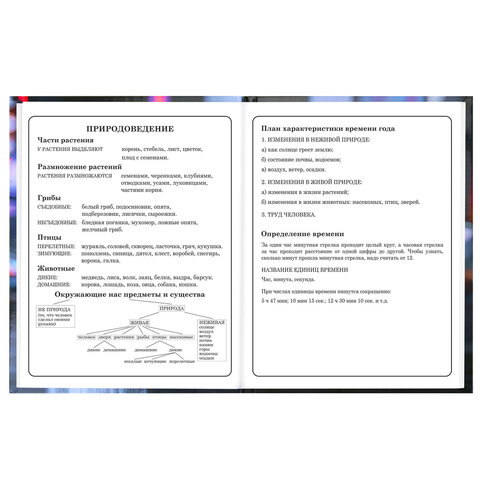 Дневник 1-4 класс 48 л., твердый, BRAUBERG, глянцевая ламинация, с подсказом, "Милашка", 107591 - фото 16