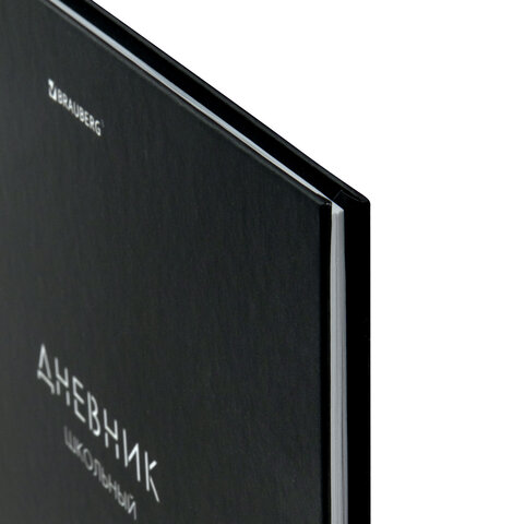 Дневник 1-11 класс 40 л., твердый, BRAUBERG, матовая ламинация, "Minimal", 107604 - фото 4