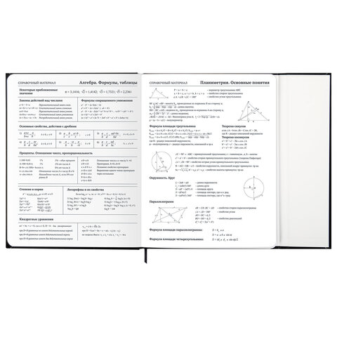 Дневник 1-11 класс 48 л., твердый, BRAUBERG, матовая ламинация, магнитный клапан, закладка-ляссе, с подсказом, "Дракон", 107245 - фото 16