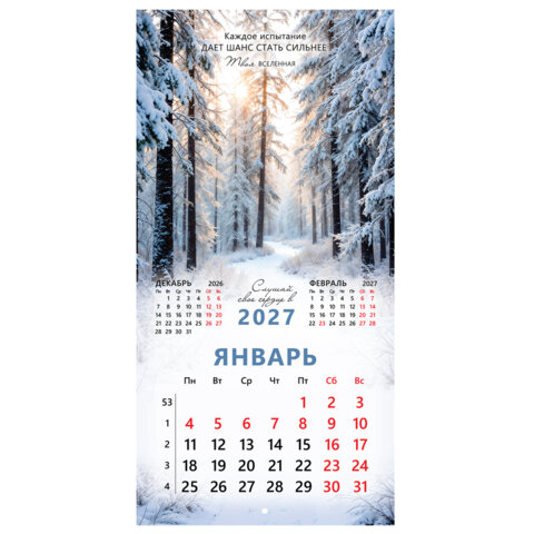 Календарь настенный перекидной 2027 г., BRAUBERG, 12 листов, 28,5х57 см, "Вселенная", 118412 - фото 6