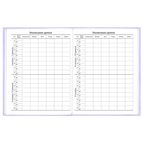 Дневник 5-11 класс 48 л., твердый, BRAUBERG, матовая ламинация, с подсказом, "Классика", 107610 - фото 7